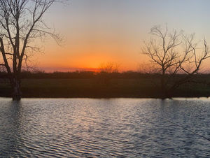 Meet your Posher, Mckenna